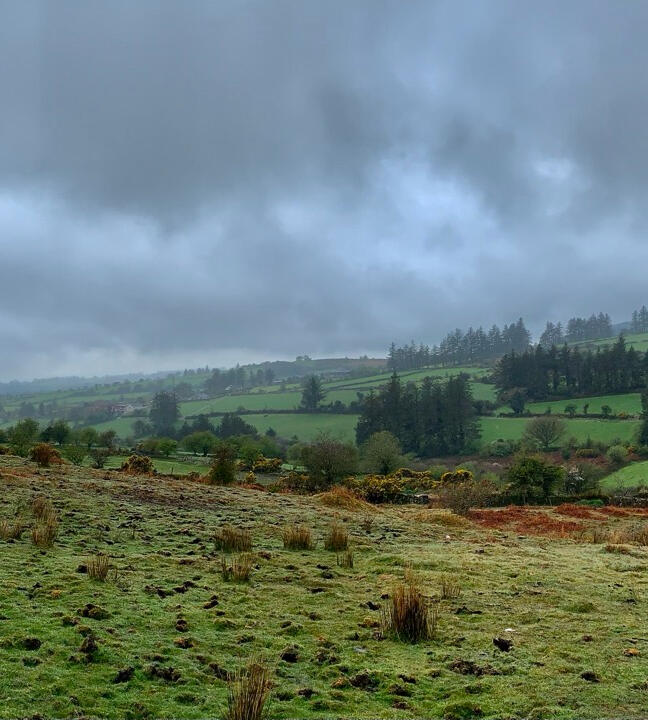 'Waterford Fields', image by Kevin MacAlan to illustrate the poem "Waterford Fields' by Kevin MacAlan 'Waterford Fields', image by Kevin MacAlan to illustrate the poem "Waterford Fields' by Kevin MacAlan